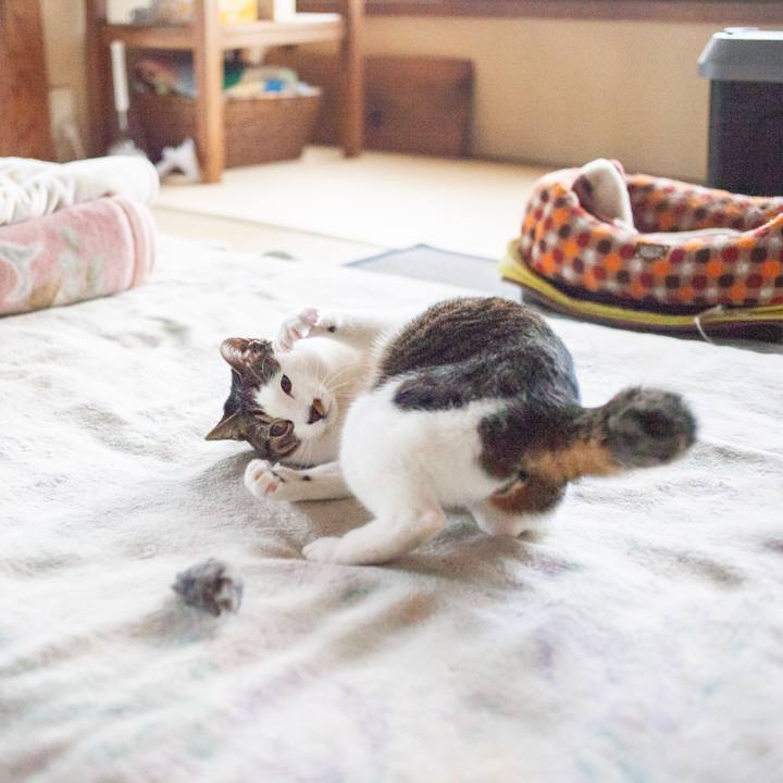 9c72da68 55a9 436b 8003 a90dc98f5e21 1551111413730