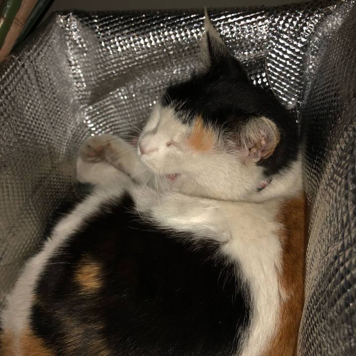 9c732298 a446 458f a620 fe4fe1b5ea16 1617968980811