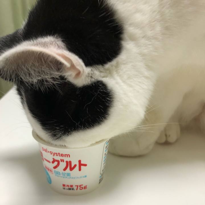 9c739db0 d2ff 43d0 95fd 8a4ee8babd2b 1563542540222