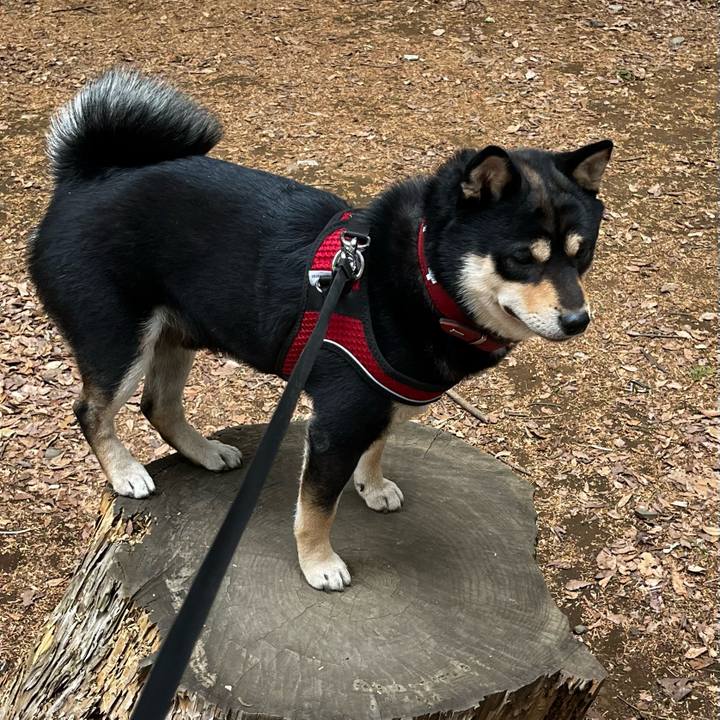 9c739ddf c886 4372 a4df 014e9a5ccd52 1707898515478