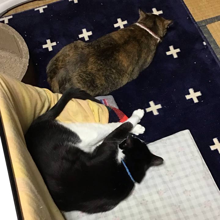 9c73a58d 5767 43d0 982b 98b41576d8d7 1713445112779