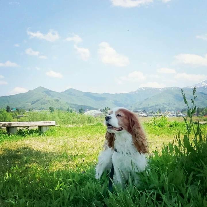 9c744156 2e73 4032 9c90 916fa1a44e13 1525499895868