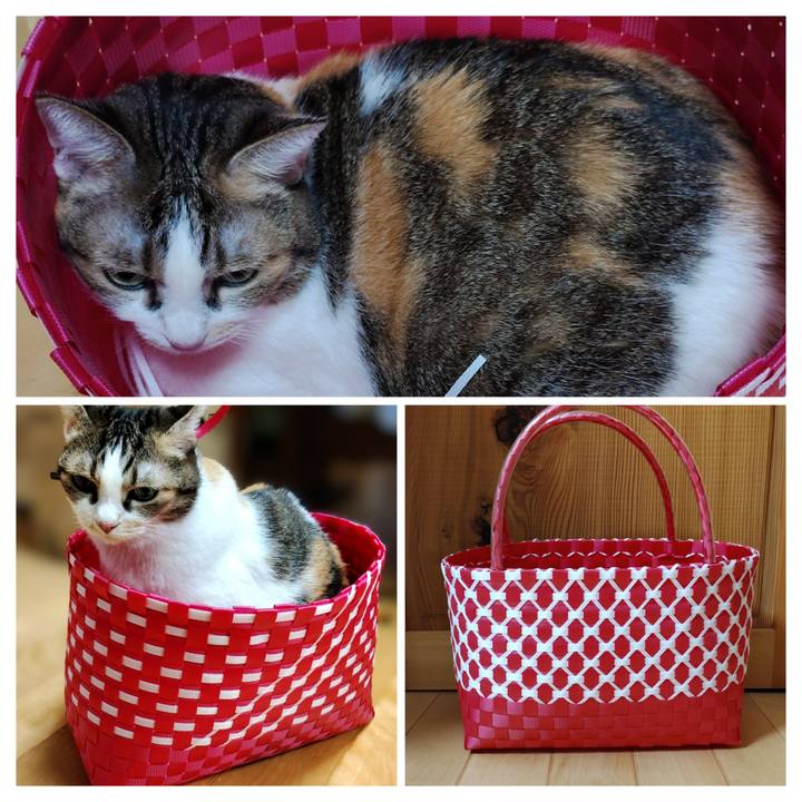 9c746044 c193 4ad8 aee0 57f74c636468 1757806980909