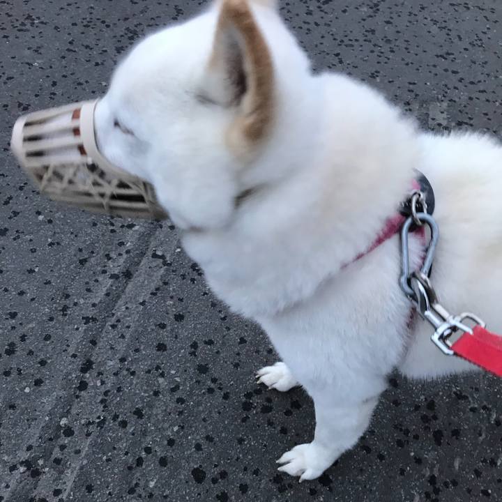 9c747102 9787 4bca 8347 81c706598889 1537562868395