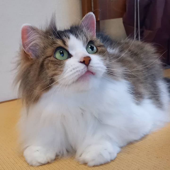 9c749433 d38f 4bbd 9d03 85e1873bc179 1655674591049