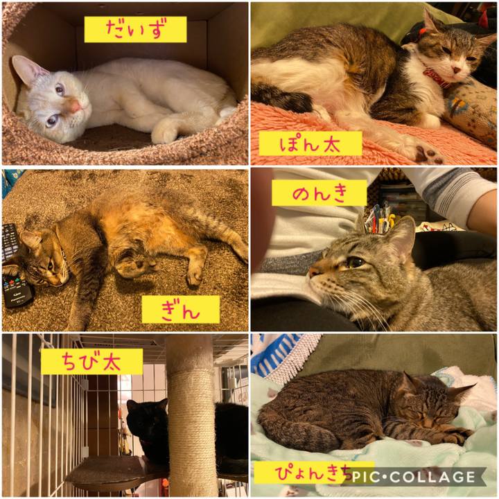 9c74aedb ed5d 4cfb a224 37a66c98c1ca 1586434793031