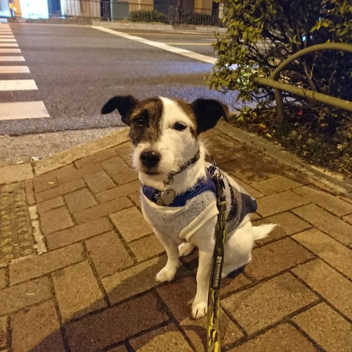 9c74cd5b 1219 4cbe 8326 0b6a476ada58 1514208351165