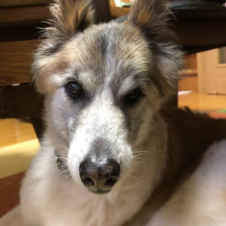 9c74eb60 d0bb 43a5 9018 f441a3de3a88 1536191931166