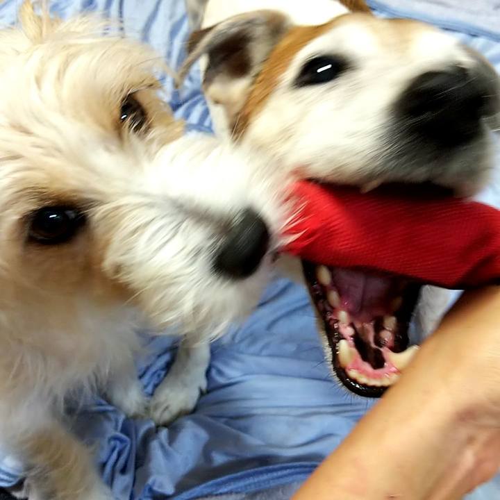 9c751f16 056d 4804 9262 685910b224af 1561901694385