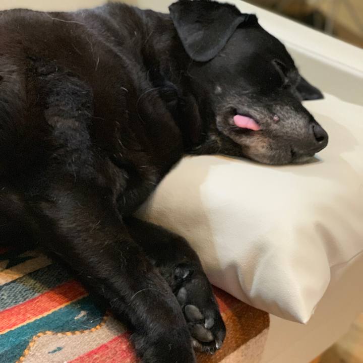 9c75523b 7fbb 41d8 981a f76c0f796ff8 1565610772203