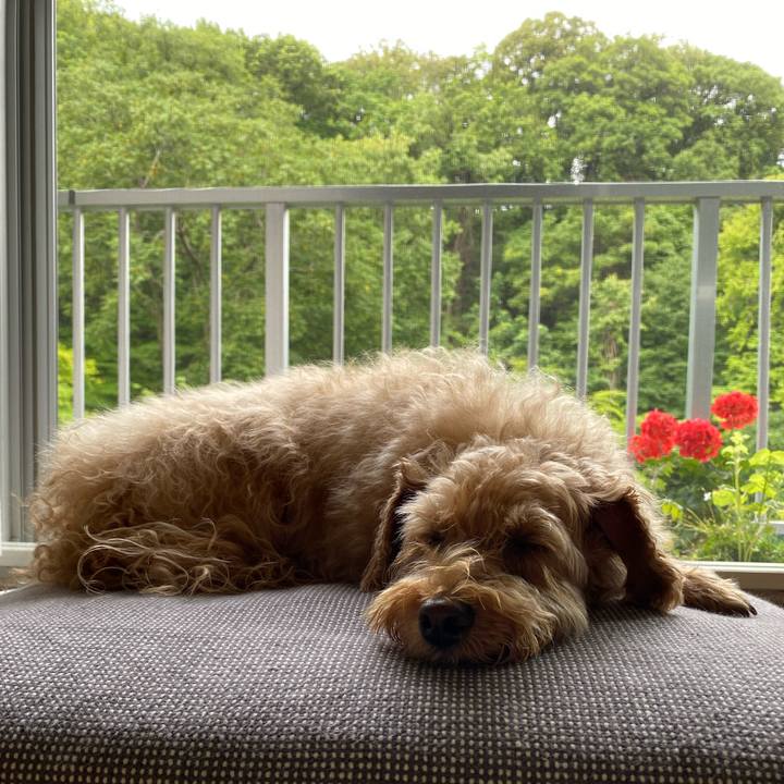 9c7565f0 355b 4278 af32 b80abffe2cfc 1660257680420