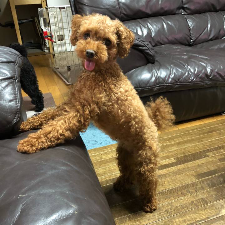 9c7581f6 a33e 4281 8db8 8a723335f84b 1532775928835