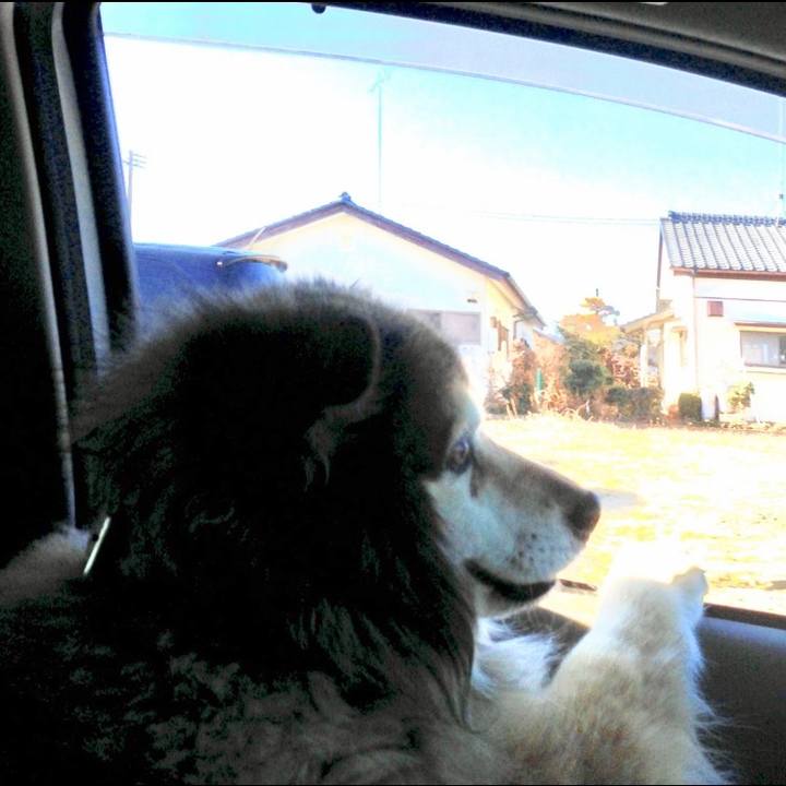 9c75881d 18fd 43e0 b64b 3545e7e1bc52 1659204008593