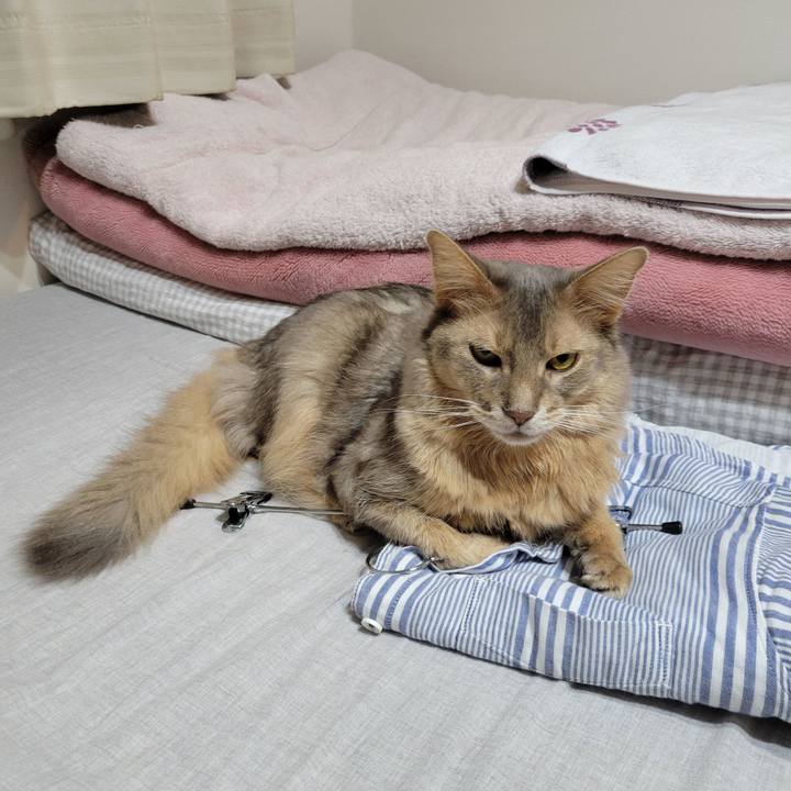 9c758cd4 2444 43db b107 9f67e81ed96d 1654267498217