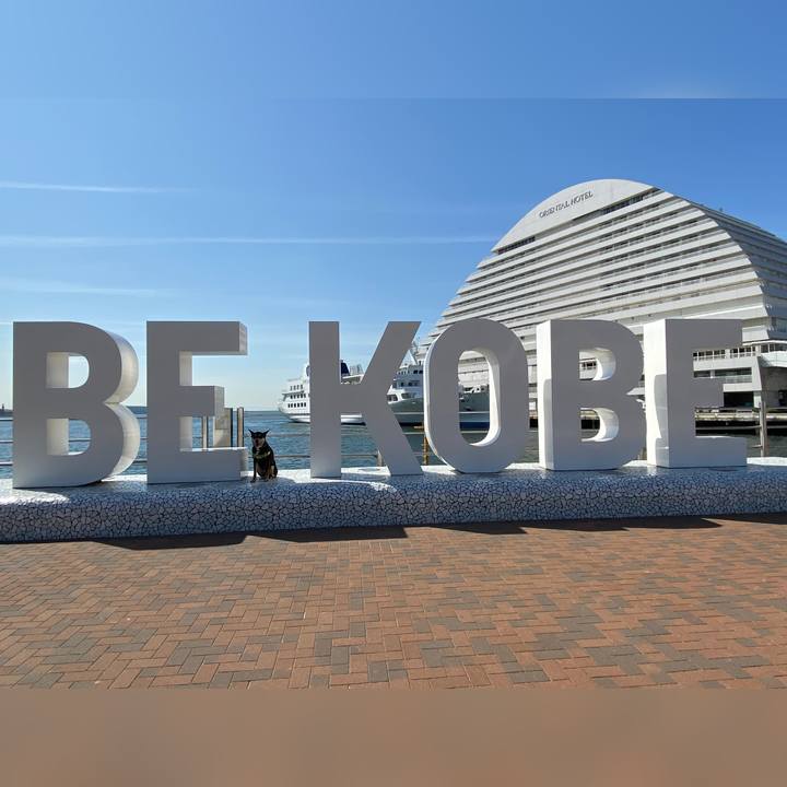 9c75d731 567b 4bf5 bd13 69c3223e03fa 1618229962971