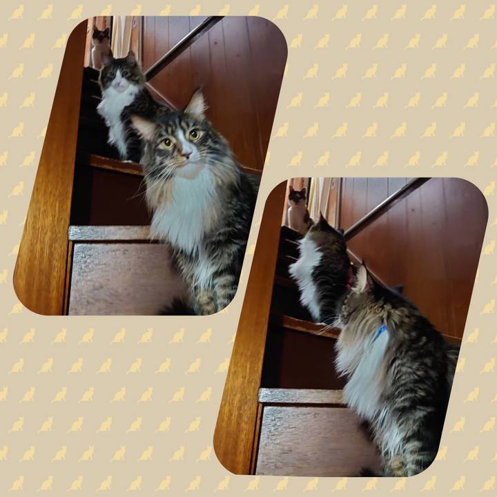 9c75f5cc e013 495d 8d24 1baf68590dcd 1725165894481