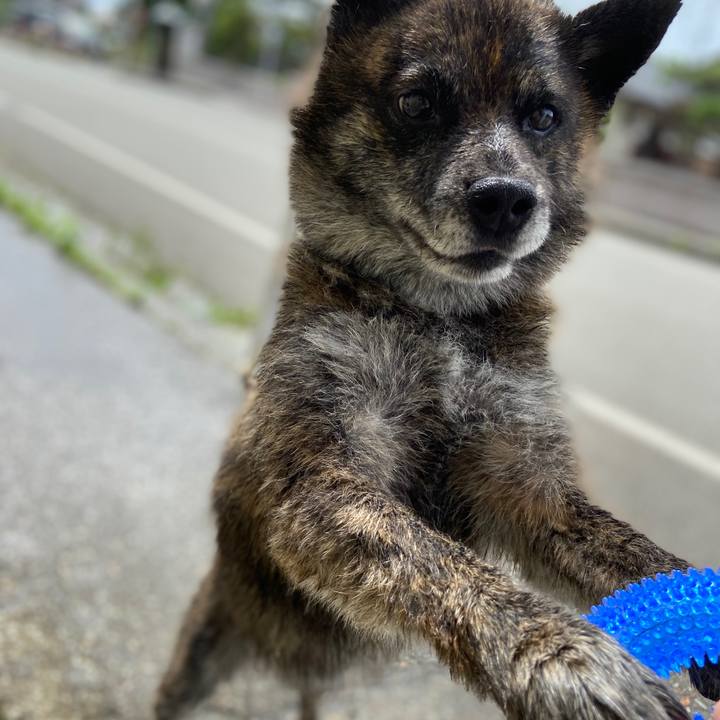 9c75f6e8 7e78 4bd5 b894 223edd5006eb 1594620580466