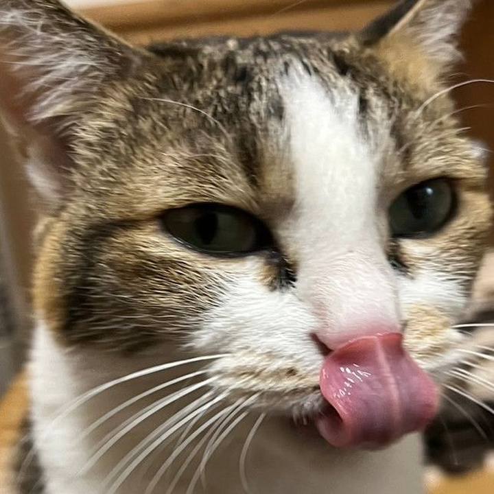 9c760998 31fe 4072 aaf4 9497d4b19669 1678143159424