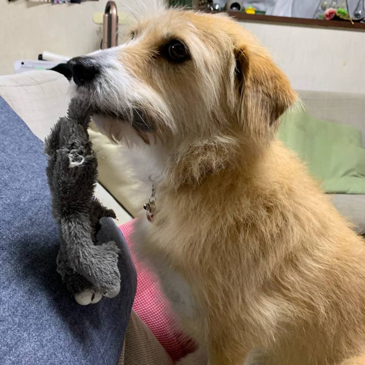 9c761236 23de 4015 a159 177cdaffdb13 1583841106856