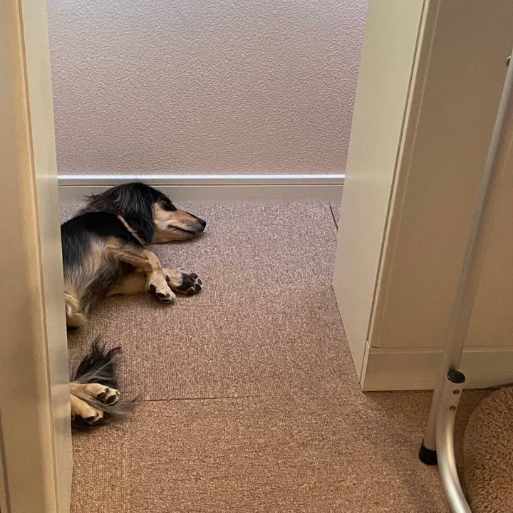 9c763aa5 8e9d 4fa7 989a f9af20e4eca4 1695098943731