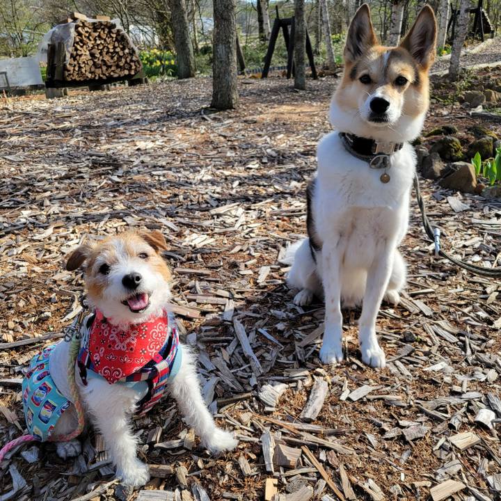 9c763d8e 863c 495d 9ae4 be43229d33be 1746255332105