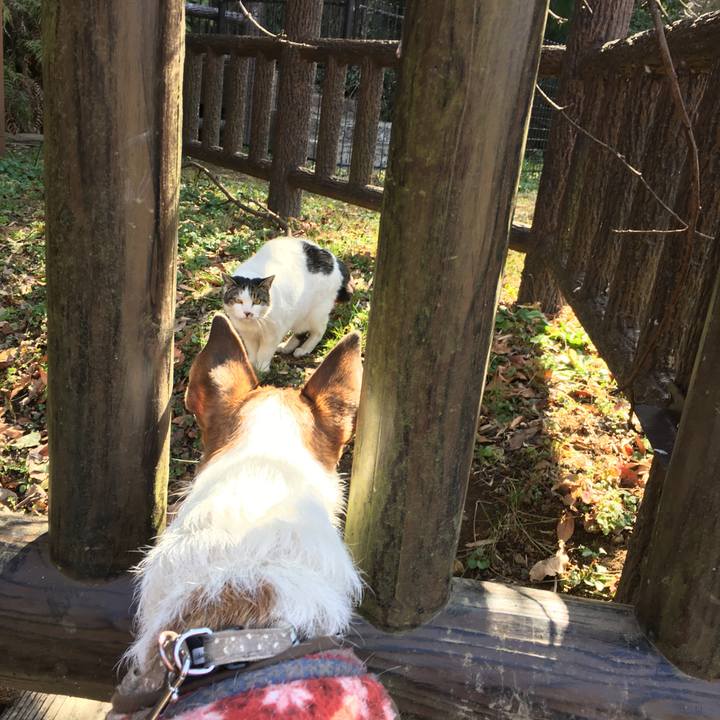 9c7640e0 9dd7 4acb 930a 1a0b886846f2 1613263992500