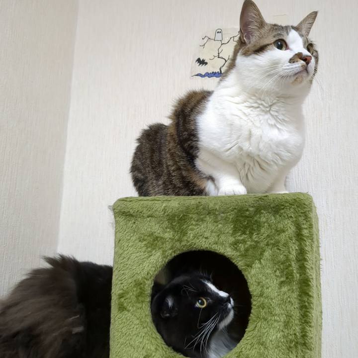 9c766464 d671 4884 8ea7 a03f3f968dc7 1673870819674