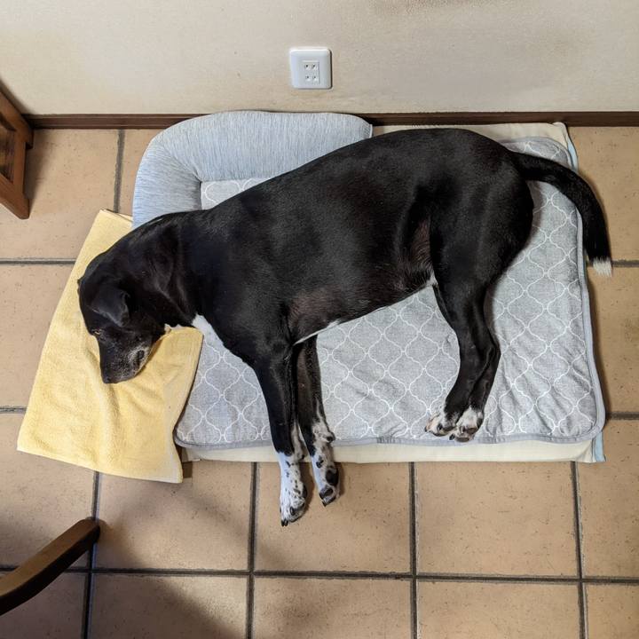 9c7680a2 62db 4f26 bcac 7a92e332e776 1693439518382