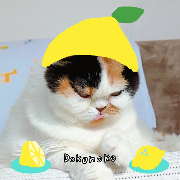 9c769c36 a215 4c56 854e e8f141213ff8 1741132129521