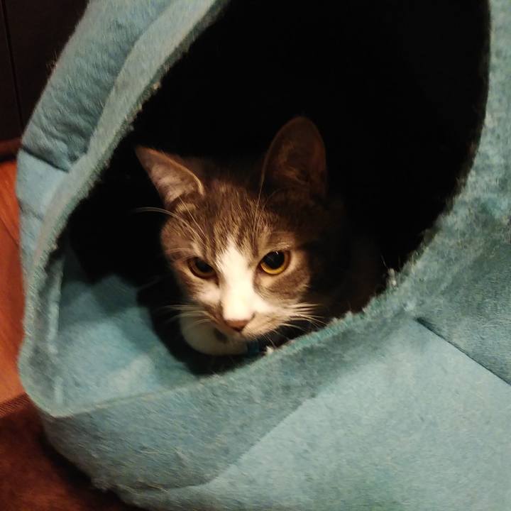 9c76c43c 0eef 46ea 898b 76168d8d5f1e 1579275241999