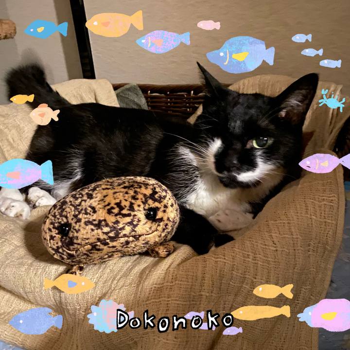 9c771bcf d8b5 4634 beea 13026e4c32aa 1755148193470