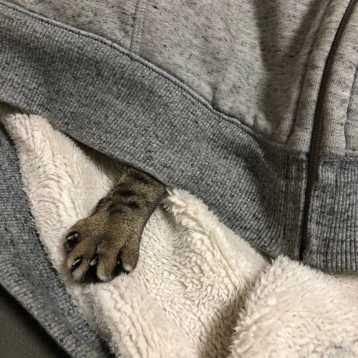 9c773b18 3cc9 4d34 85c3 1f4c4f7e4139 1606812653960