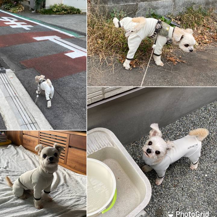 9c7742e3 e008 4a39 8b5e c3413fcf4fd2 1667947519354