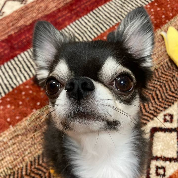 9c777299 ef8f 44c3 a4fa 6e5ba7e839f5 1670080297497