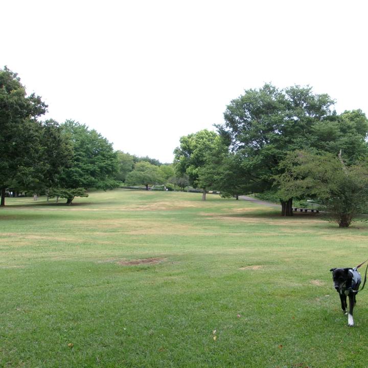 9c777369 2582 4e1c ac14 6e67616dc99b 1754784806666