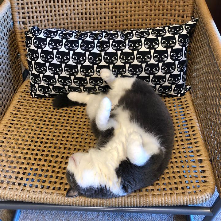 9c778a22 0ed6 45ca 90df 00ad3fcca66a 1568512439151