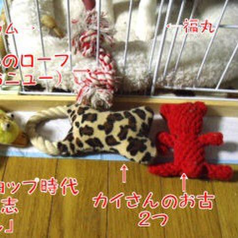 9c779b69 b38e 4025 9275 393ebdcad227 1677197280571