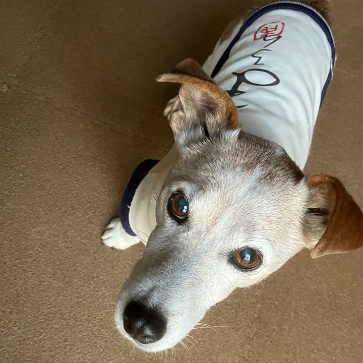 9c77dea1 dbbe 421c bfcf ecae87ce1121 1765411886547