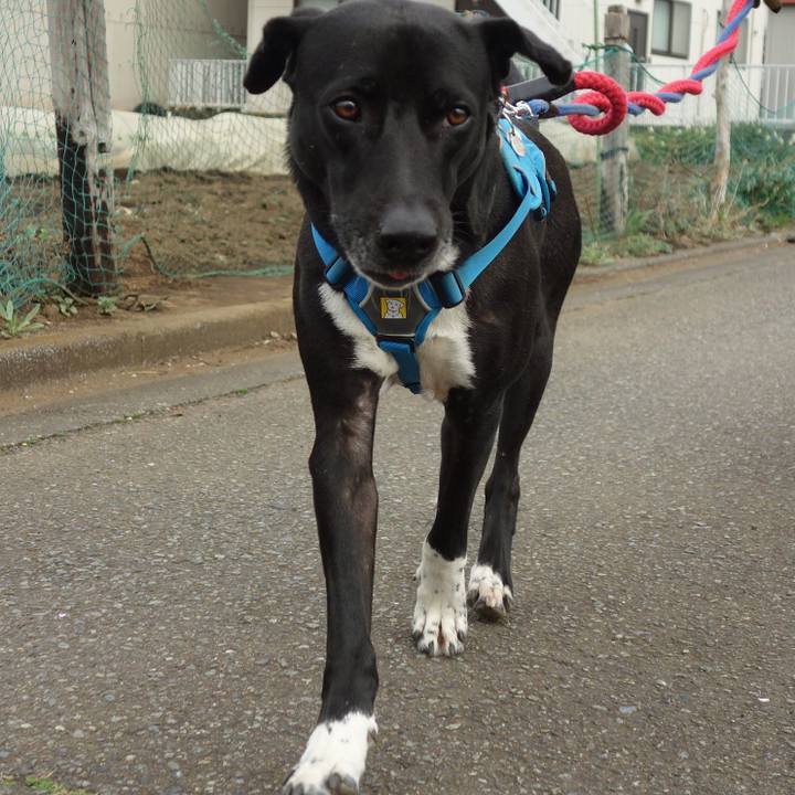 9c77edee 3cc1 4691 b13d 488031dd3708 1615077490184