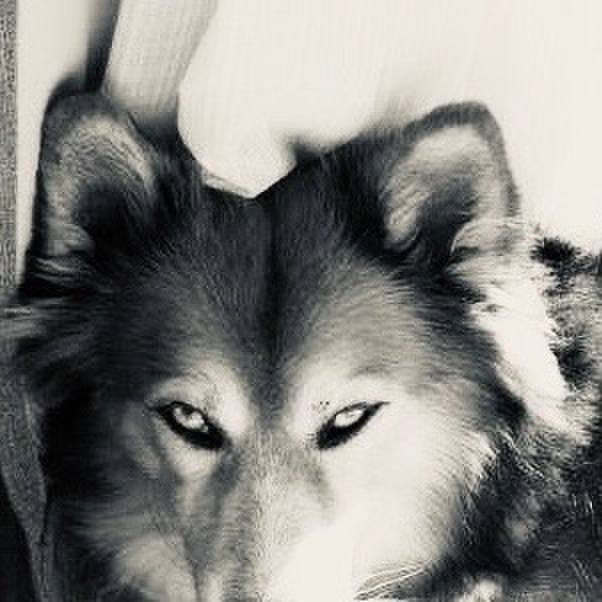 9c781305 4f22 43c8 a285 bdfecfebdf31 1595777952291