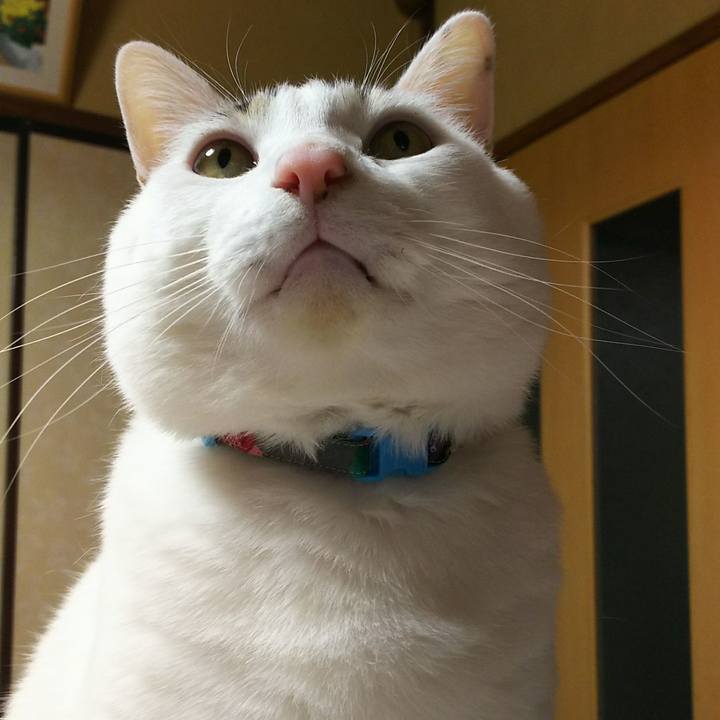 9c781773 c77f 4c28 b35c 005a171e9cbe 1516632648097