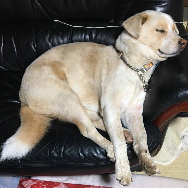 9c781d3b b7fc 4ca7 8d80 53e5560eb23e 1517110042209