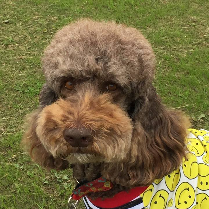 9c782aaa f4a7 47eb 8562 eb57ac045123 1509186505056