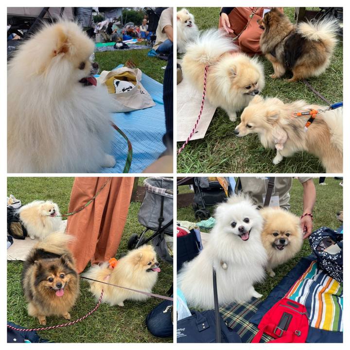 9c784451 8076 4f41 a3c4 b9f4abf4e5f2 1760414475142