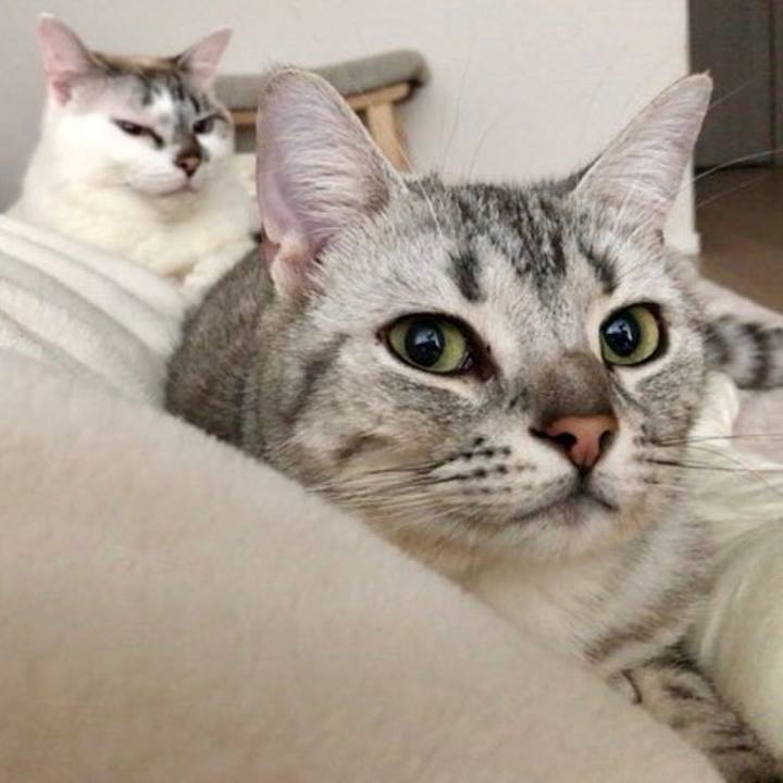 9c78496b 893f 4d8b 89a3 ad5f8913a53f 1527369039744