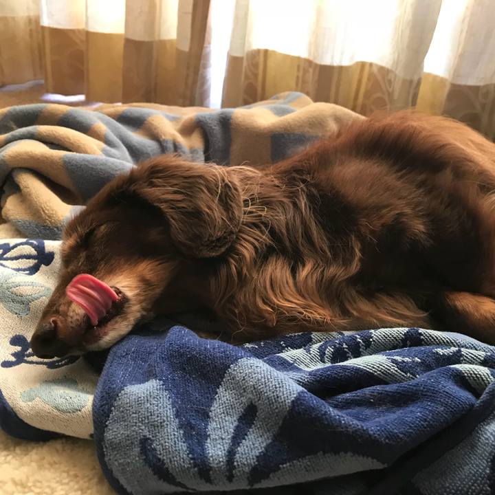 9c785a65 e803 4dff bef2 b1c63d1c9c5a 1513693997975