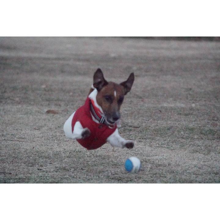 9c786559 20ba 4026 a265 6ab7e5737a8e 1546901026351