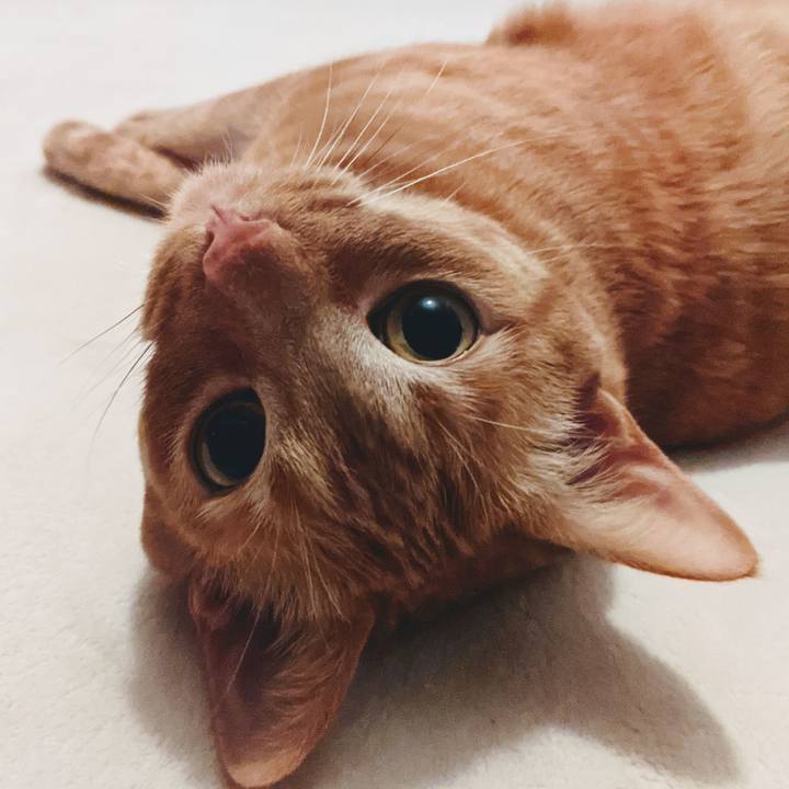 9c7866f5 cef5 4673 baf5 b313708569b0 1620387032290