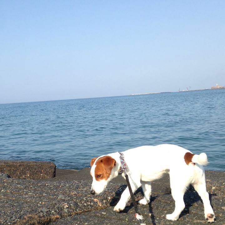 9c7890a6 a406 437c 8804 fc2cf256b878 1521254035850