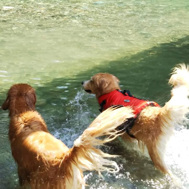 9c78f84e e37e 4e8d a271 f3256f25b6d1 1560959444688